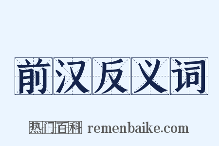 前汉反义词是什么意思的图片